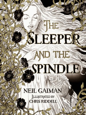 The Sleeper And The Spindle by Chris Riddell